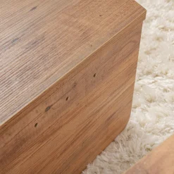 Drawer ASYA Lot de 2 tables basses en bois