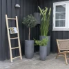 Hot House Nordic TEAK LADDER Echelle décorative en bois H150cm