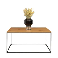 Online House Nordic VITA Table basse en métal et bois